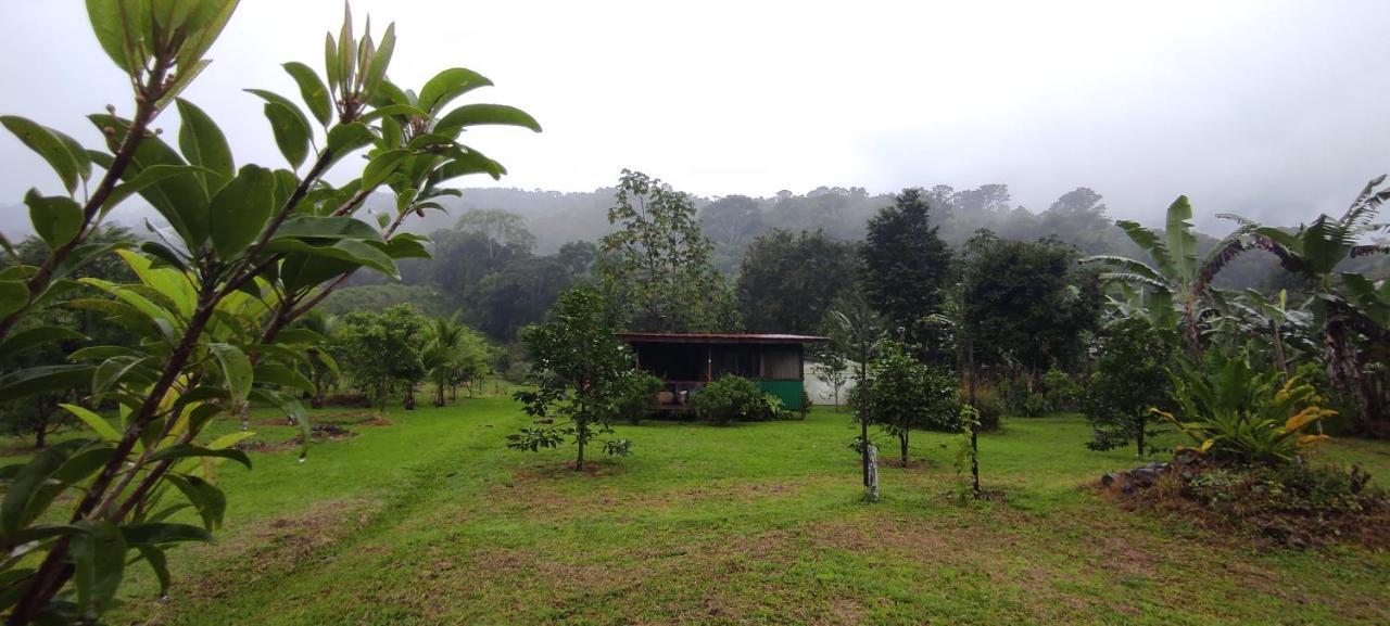EYA Ecolodge San Isidro De El General Exterior foto