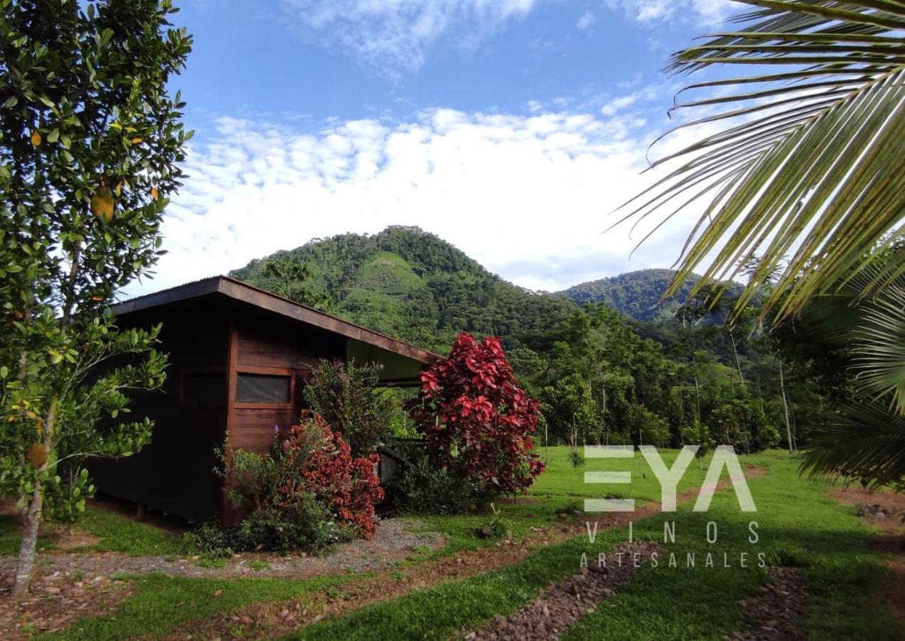 EYA Ecolodge San Isidro De El General Exterior foto